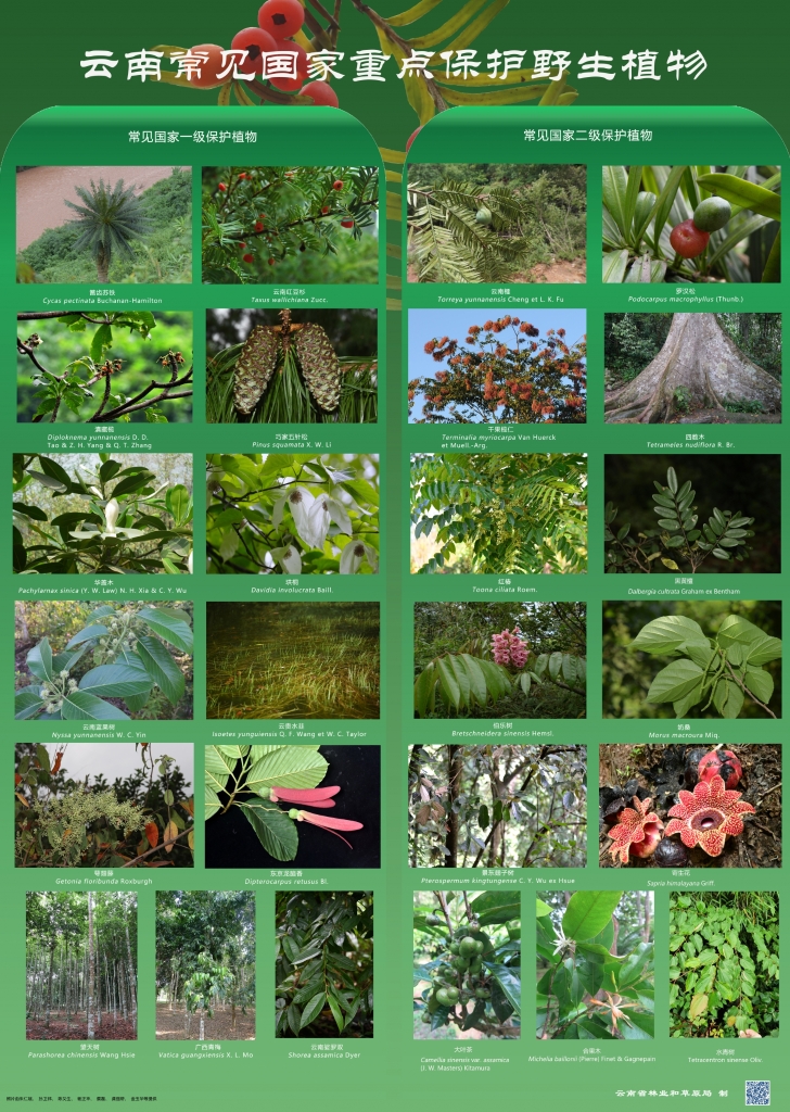 以案普法：：：：：：抑氐惚；；；ぶ参镒